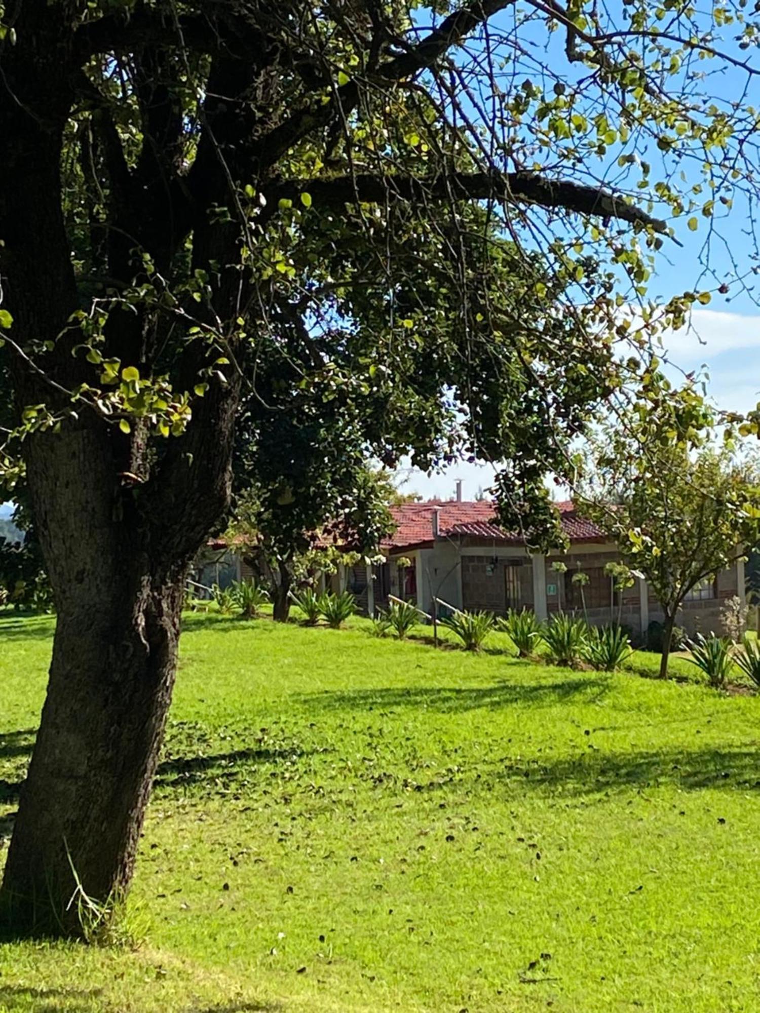 Cabanas Huerta La Mision, Zacatlán Exterior photo
